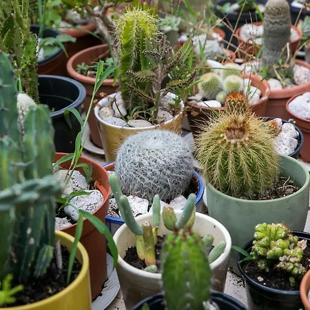 Maria Kolo Ep - Two Bedroom With Terrace And Garden View Appartement