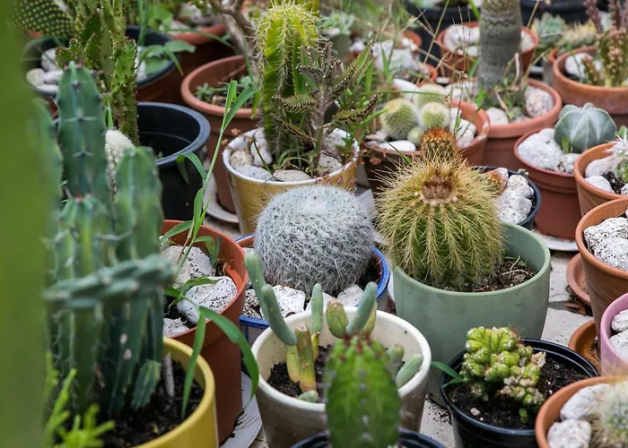 Maria Kolo Ep - Two Bedroom With Terrace And Garden View Appartamento